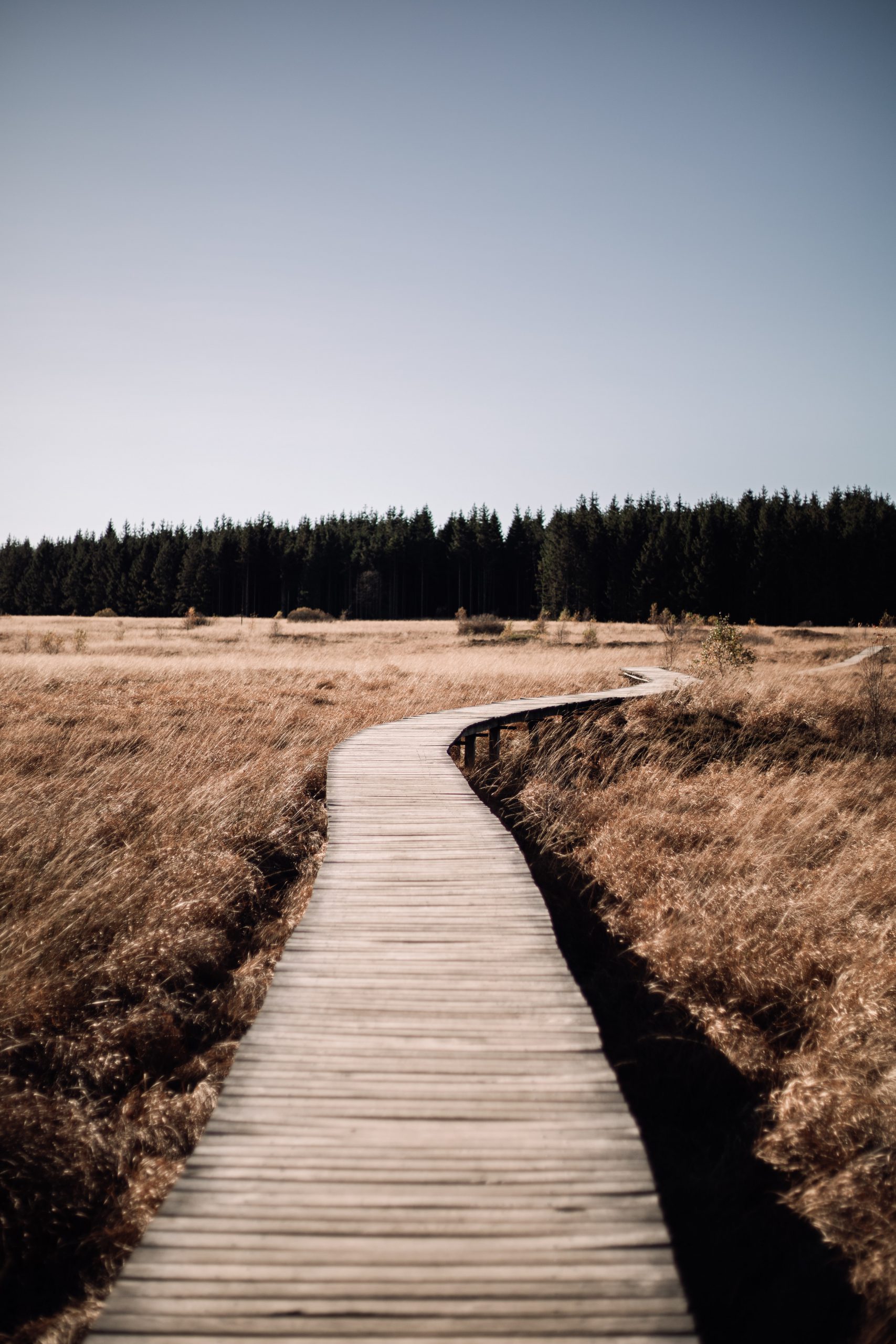 fagnes